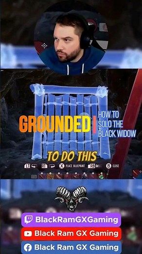 Easy Black Widow Strategy | Grounded