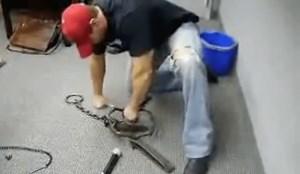 Man displays speed and agility by trying to punch bear trap before it can close