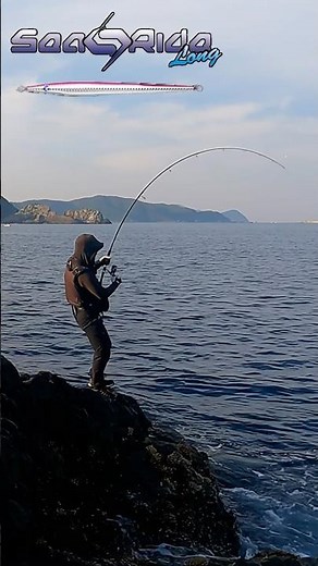 シーライドロングでブリ捕獲【ショアジギング】#shorts #ショアジギング #釣り #ブリ#ロックショア