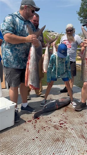 2.7K views · 25 reactions | Keystone Lake Paddlefish Charters on Reels | Facebook