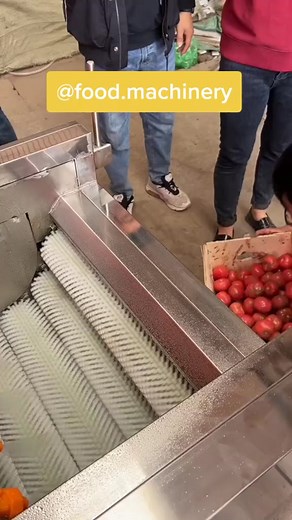 #kitchenequipments #foodmachine #kitchenware #machinery #automation #kitchen #kitchenessentials #kitchenmachine #foodmachinery #kitchenequipment #foodequipment #machine #cookware vegetable fruits washing machine