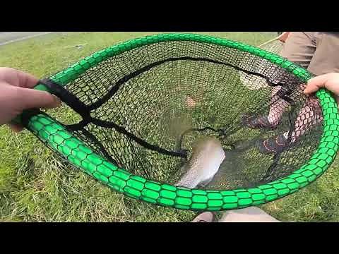 TROUT fishing Cedar Springs TROPHY TROUT FARM stream FIRST TIME! (NEW PB?)
