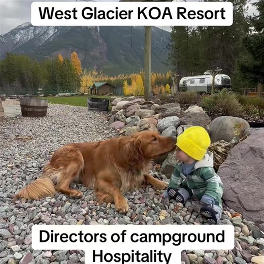 There might be a little favoritism around here… but when your directors are this cute, can you blame us? Get ready for laughter, fresh mountain air, and unforgettable memories you won’t want to miss the 2026 season at West Glacier KOA Resort. #westglacierkoaresort #nationalpark #Montana #visitmontana #hikingtrails #wintervibes #getoutside #glaciernationalparkmontana #kampgroundsofamerica #camping | West Glacier KOA Resort