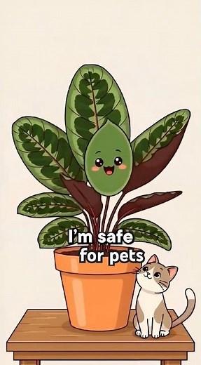 5 Indoor Plants That Are Actually Safe for Pets! 🐾🌿 #plants #indoorplants #nature