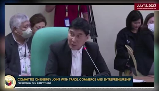 At the Senate Hearing. During the Senate hearing on the recurring brownouts in various parts of the country and the poor service provided by electric cooperatives, Senator Raffy Tulfo questioned the relevance of the electric cooperatives and National Electrification Administration. On the other hand, Senator Grace Poe emphasized the importance of private distribution utility companies entering the market as they can bring sufficient capital to improve distribution facilities and provide better s