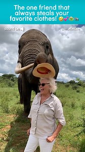 849K views · 2K reactions | The elephant went, "YOINK!" 藍 (VIA- Claudio C) | The Pet Collective | Facebook