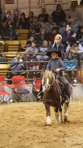1.1M views · 14K reactions | Mini Pony Sold for $12,500 at Dixie Horse Auction, Join us at our next auction March 22-23 2024 | Dixie Horse Auction | Facebook