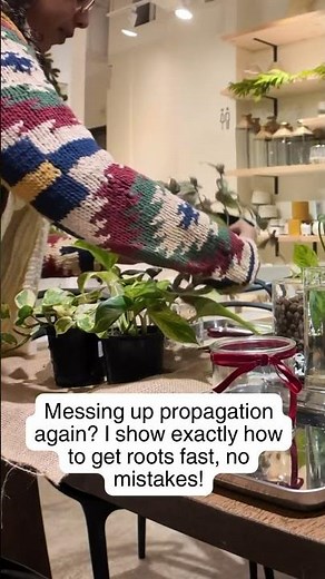 Get Roots Faster with This Simple Method | 100 Days of Propagation