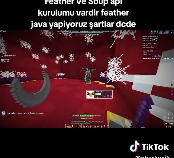 Feather Ve Soup API Kurulumu: Adım Adım Rehber