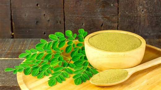 Moringa leaves: The superfood packed with A, C, E, and B vitamins for strong immunity and better health