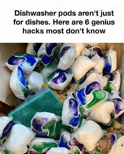 77K views · 147 reactions | I had no idea about these ideas! So cool Full article   | Amazing Tips | Facebook