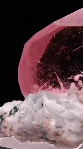 Salt Shack on TikTok