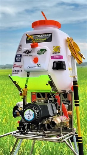 Exploring Banyuwangi: A Journey to Indonesia's Agricultural Heart