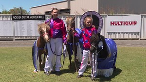 Tamworth mini trot drivers win at Interdominion - NBN News