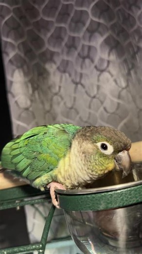 TikTok · Marta_nature