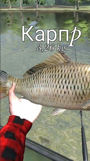 ultimate fishing simulator @fishing @spinning @carp