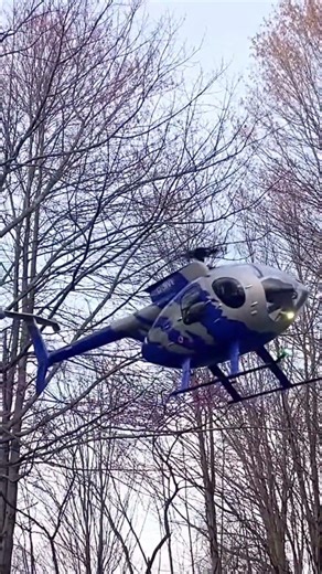 Customer lighting on FLISHRC 500 size MD500 RC helicopter