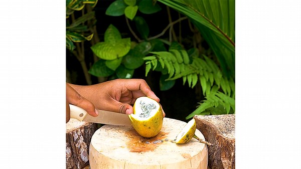 Deeply Satisfying Passion Fruit Cutting With A Knife
