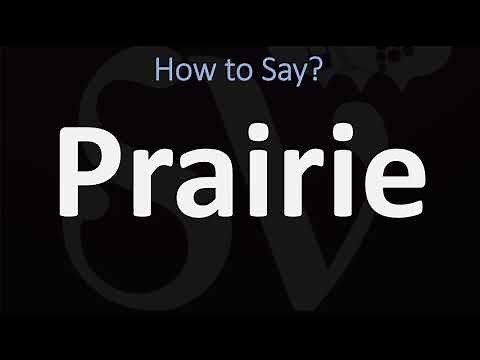 How to Pronounce Prairie? (CORRECTLY)