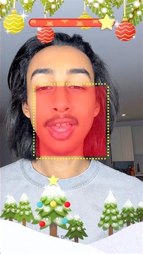 ORNAMENT! #adamsfyp #funny #christmas #shorts