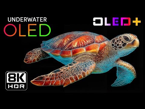 BEST OF OLED – Relaxing Deep Ocean in 8K HDR | Dolby Vision™