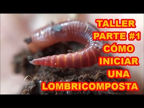HOW TO MAKE WORM COMPOST FROM SCRATCH "WORKSHOP" 🐛🐛🐛 (PART #1)