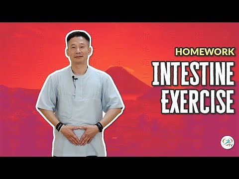 Intestine Exercise for Digestion, Energy, and Focus | Body & Brain Homework Exercises