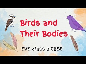 Birds and Their bodies EVS class 3 CBSE l #dhyankagyan