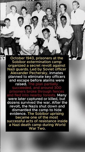 The Sobibor Revolt: Prisoners Who Fought Back (1943)