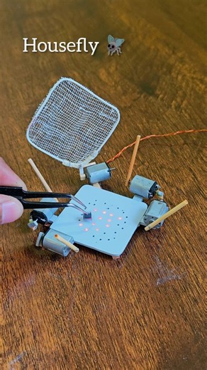 New bug fly 🪰 trap with dc motor and sticks #engineering #trap #funny #bug #electronics #funny #viral | Science & Engineering