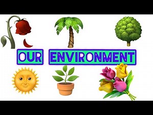 Our Environment| Class 3 Social Studies SST