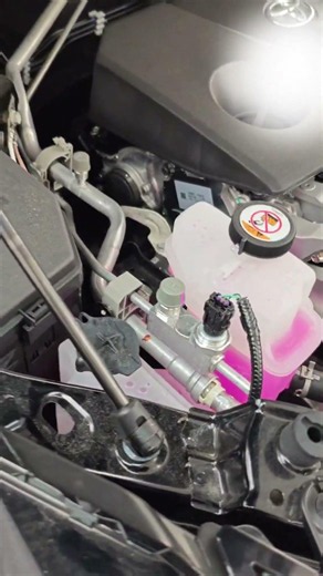 Front Hood Lift Strut for TOYOTA RAV4 2026 👌FREE SAMPLE TESTING👌 #freesamples #sample #testingjobs
