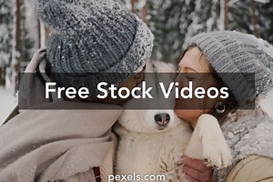 Dog With Owner Videos, Download The BEST Free 4k Stock Video Footage & Dog With Owner HD Video Clips