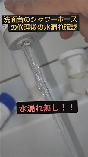 洗面台のシャワーホース。水漏れ修理