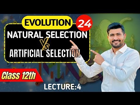 Natural vs. Artificial Selection |Genotype & Allele Frequencies| Biology 12 Ch 24 |Irtisam's Biology
