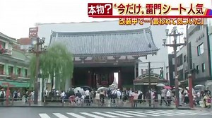 36K views · 583 reactions | ある意味”今しか見られない”…...