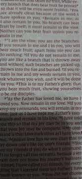 JOHN LESSON #15 The Vine and the Branches