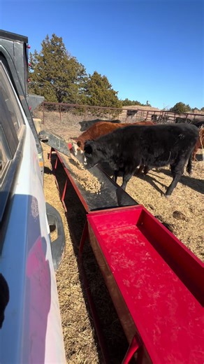 #oklahoma #countryside