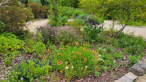 Sally Scalera: Professional landscapers can now become Florida-Friendly certified