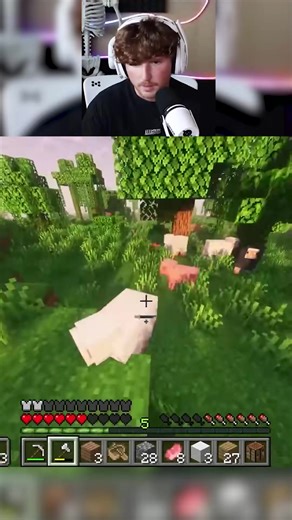 Endermen aren’t stupid… | Caylus