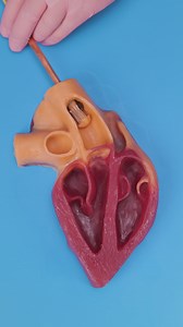 Medical Magic Revealed! Popular Procedures Explained | 3-Minute Hacks