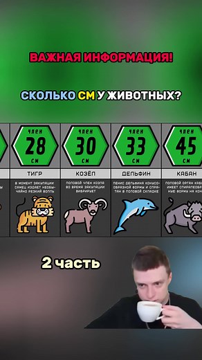 СТАТИСТИКА на TikTok