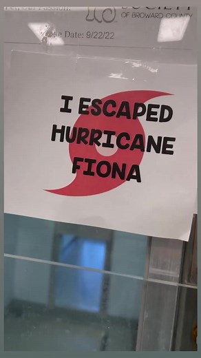 15K views · 1.6K reactions | All of these dogs escaped Hurricane...