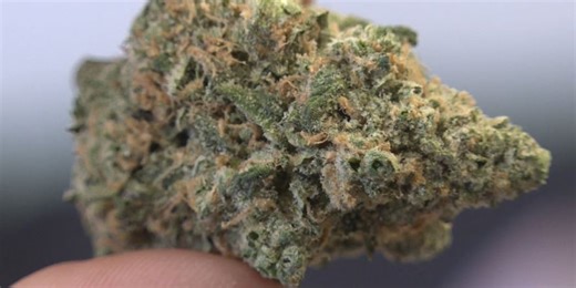 ‘Smokable’ hemp products now illegal in Alabama after judge denies last ditch effort to stop it