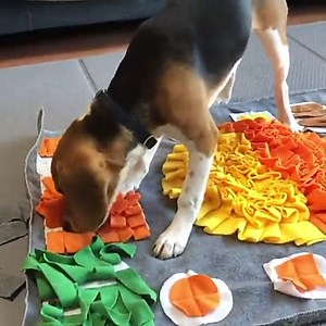 Snuffle Mat for Dogs, 31.5'' x 23.6'' Enrichment Dog Feeding Mat, Interactive Brain Game Toy for Boredom and Mental Stimulation, Slow Eating and Sniff Training for Dogs