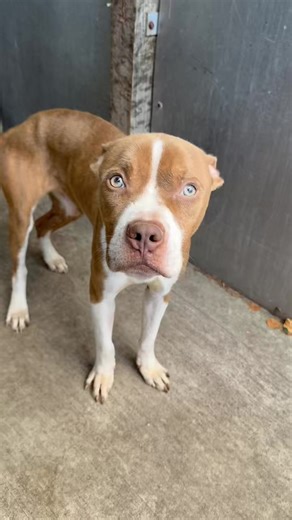 29K views · 1.8K reactions | Ten days. That’s all it took for...