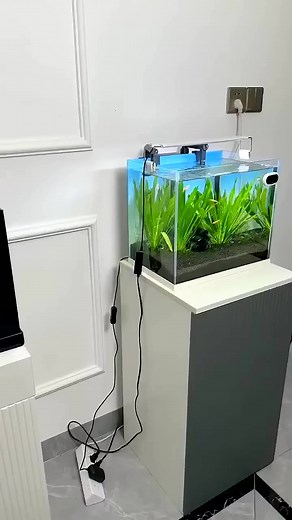 Amazing Filters for Fishtank #fishtanksetup #trending #fishaquarium #fish #diy #viral #aquarium #fyp | Aquatic Wonders Hub