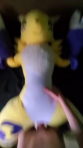 Little reupload from a while ago. One of Renamon's Favorite Sessions