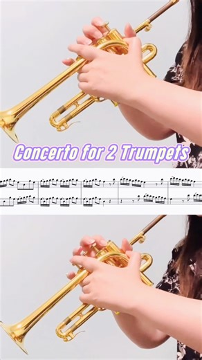 【ピッコロトランペット】vivaldi Concerto for 2 Trumpets #トランペット #trumpet