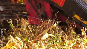 Footage Slow Motion: Modern farmers need a convenient corn harvester